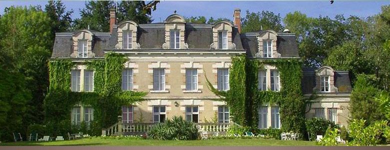 Chateau Des Tertres Onzain Kültér fotó